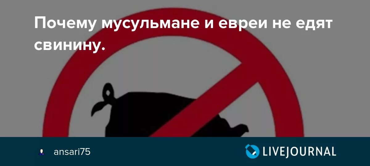 Почему мусульманам нельзя свинину. Мусульмане не едят свинину. Евреям запрещено есть свинину. Почему мусульмане не едят свинину. Почему исламисты не едят свинину.