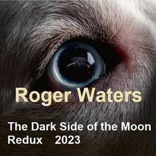 Roger waters dark side of moon redux