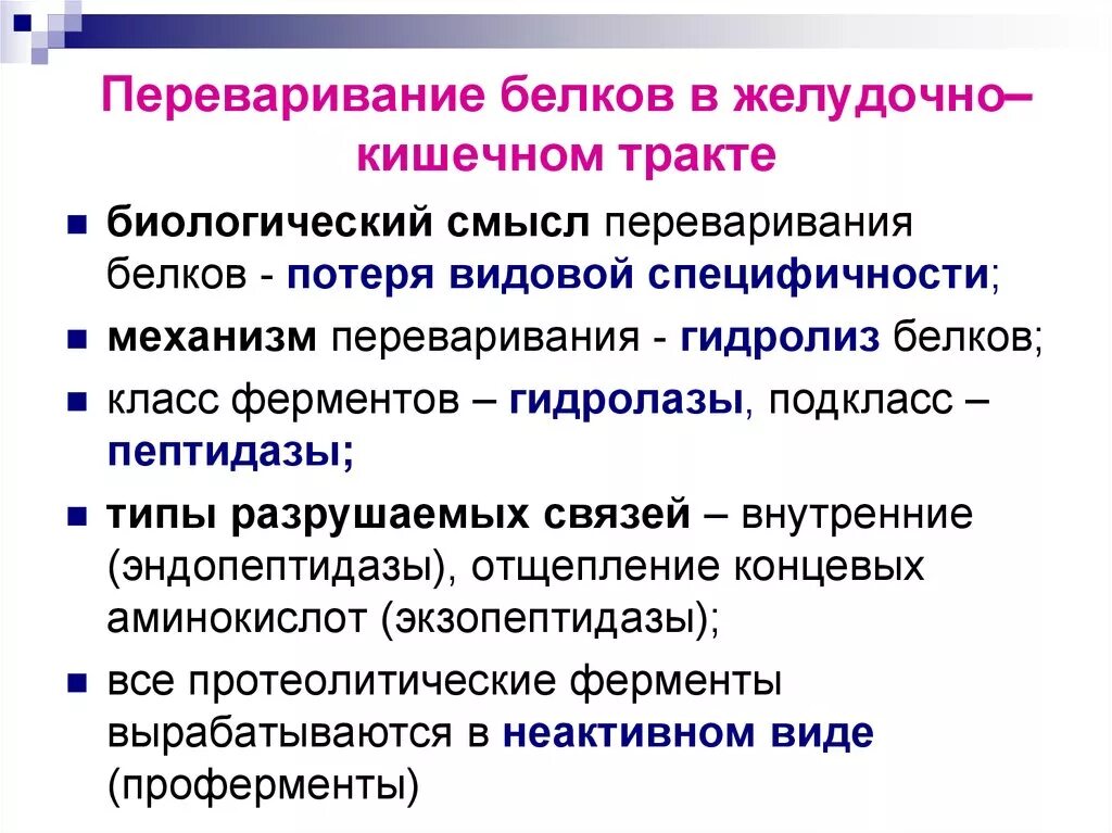 Белки ферменты особенности. Переваривание белков. Переваривание белков в желудочно-кишечном тракте. Переваривание белков в ЖКТ биохимия. Этапы переваривания белков в ЖКТ.