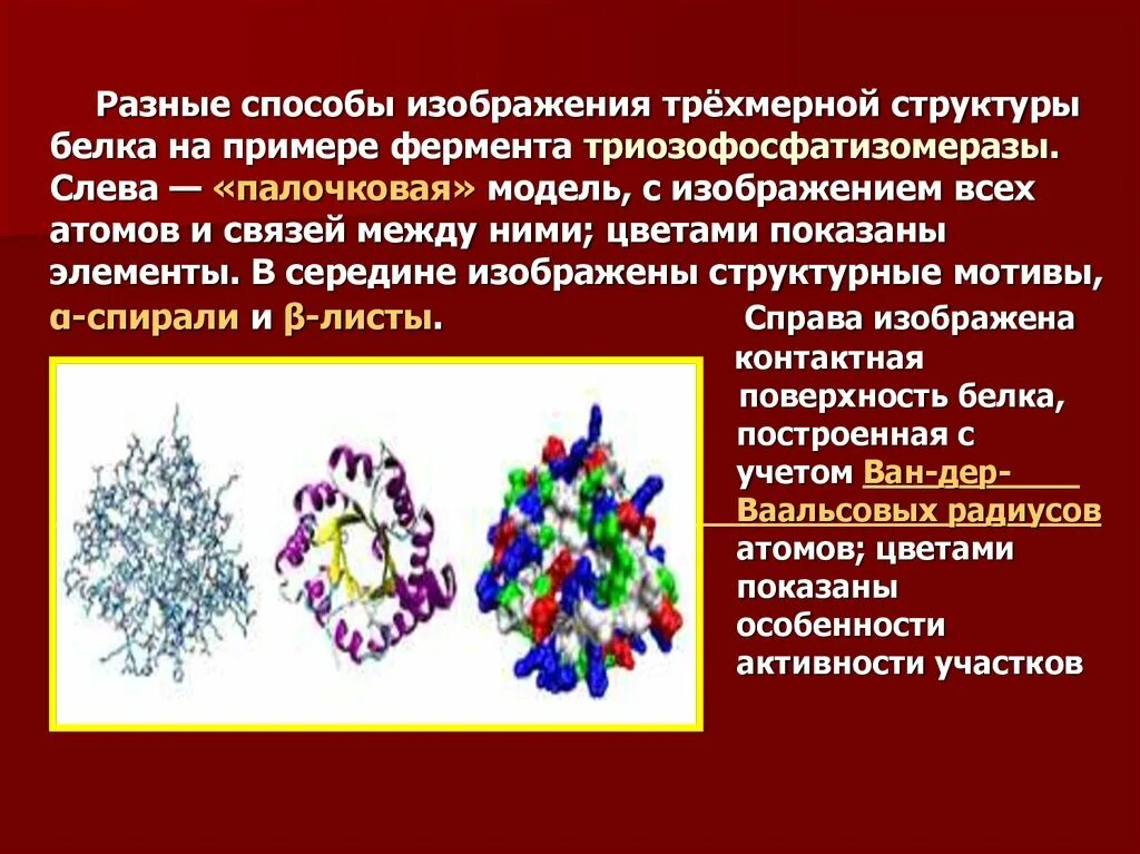 Трехмерная структура белка функции. Структурная функция белка. структурная организация белков. трехмерная структура белка. методы изучения строения белков.