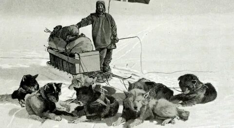 Экспедиции руаля