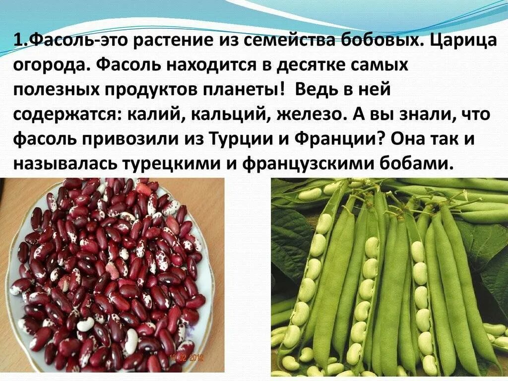 Сколько бобовых