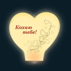 Кохая перевод