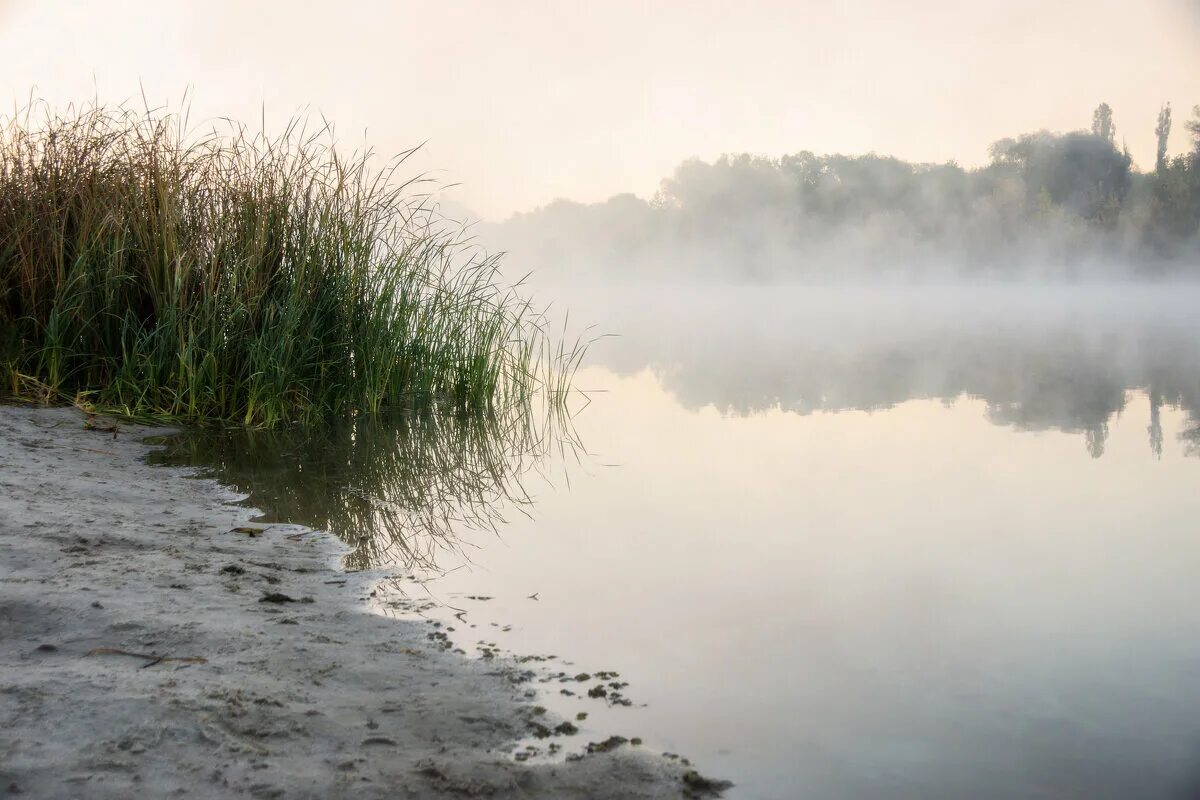 Картины художника селенских анны. Эрин сыроварня. Сыр туманное утро. Завтрак сыр и кофе. Сыр туманное утро.