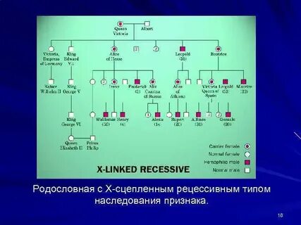 Генеалогический признак