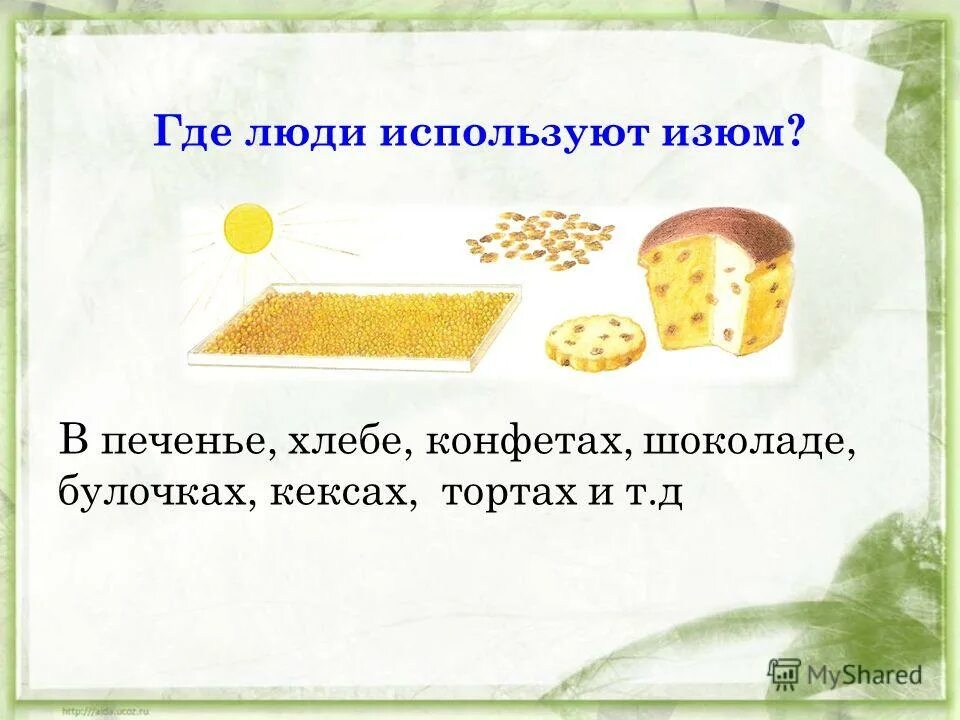 откуда берется шоколад 1 класс окружающий мир.