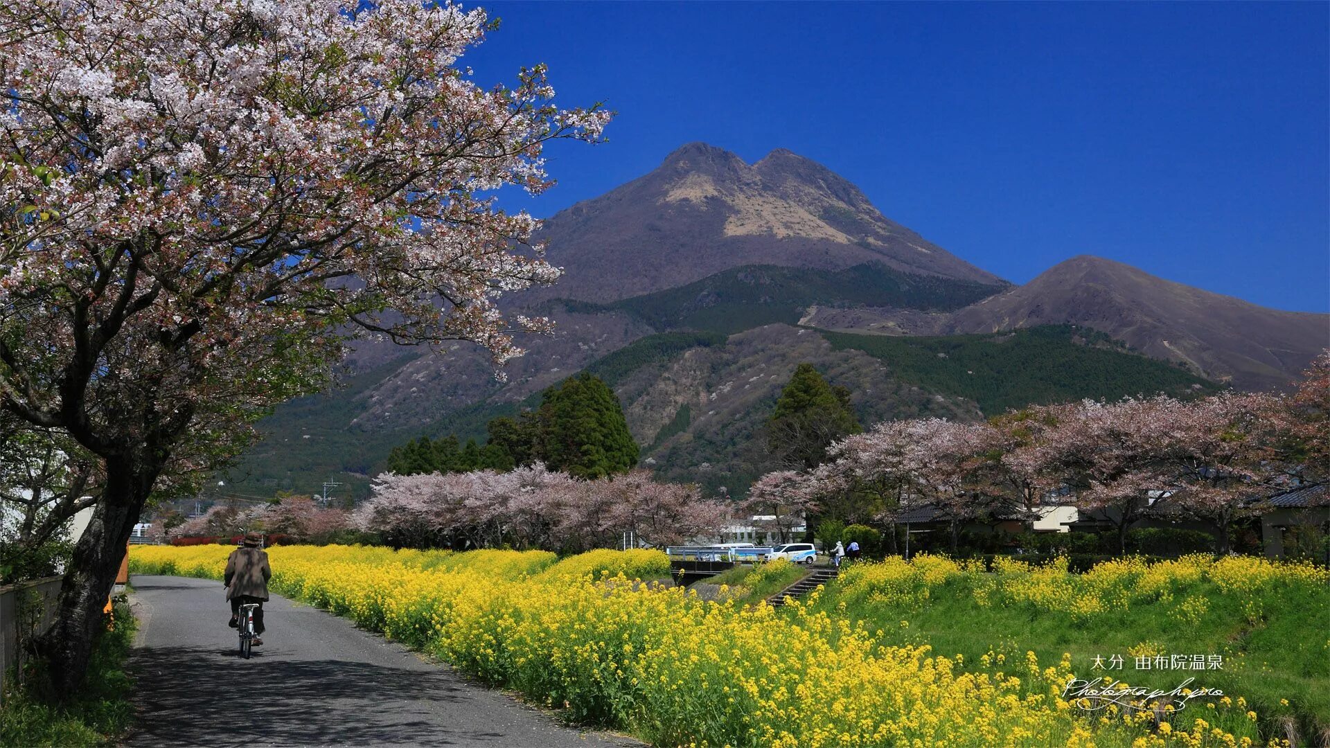 Yellow spring road япония. Префектура Кюсю. Кюсю Япония. Кагосима Япония. Япония Префектура Кагосима природа.