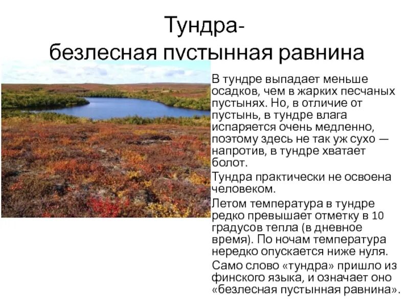 Почему тундра является безлесной