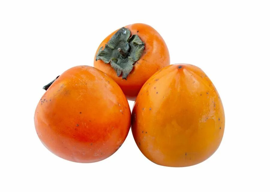 Хурма 1 кг. Хурма сорт свечка. Хурма сорт свечка. Хурма сорт свечка. Хурма сорт свечка.