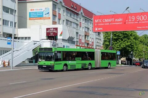 Москва мозырь автобус