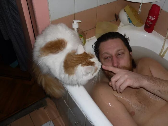 Залезть в ванную. Кот купается в ванной. залезает в ванную. мужик с котом.