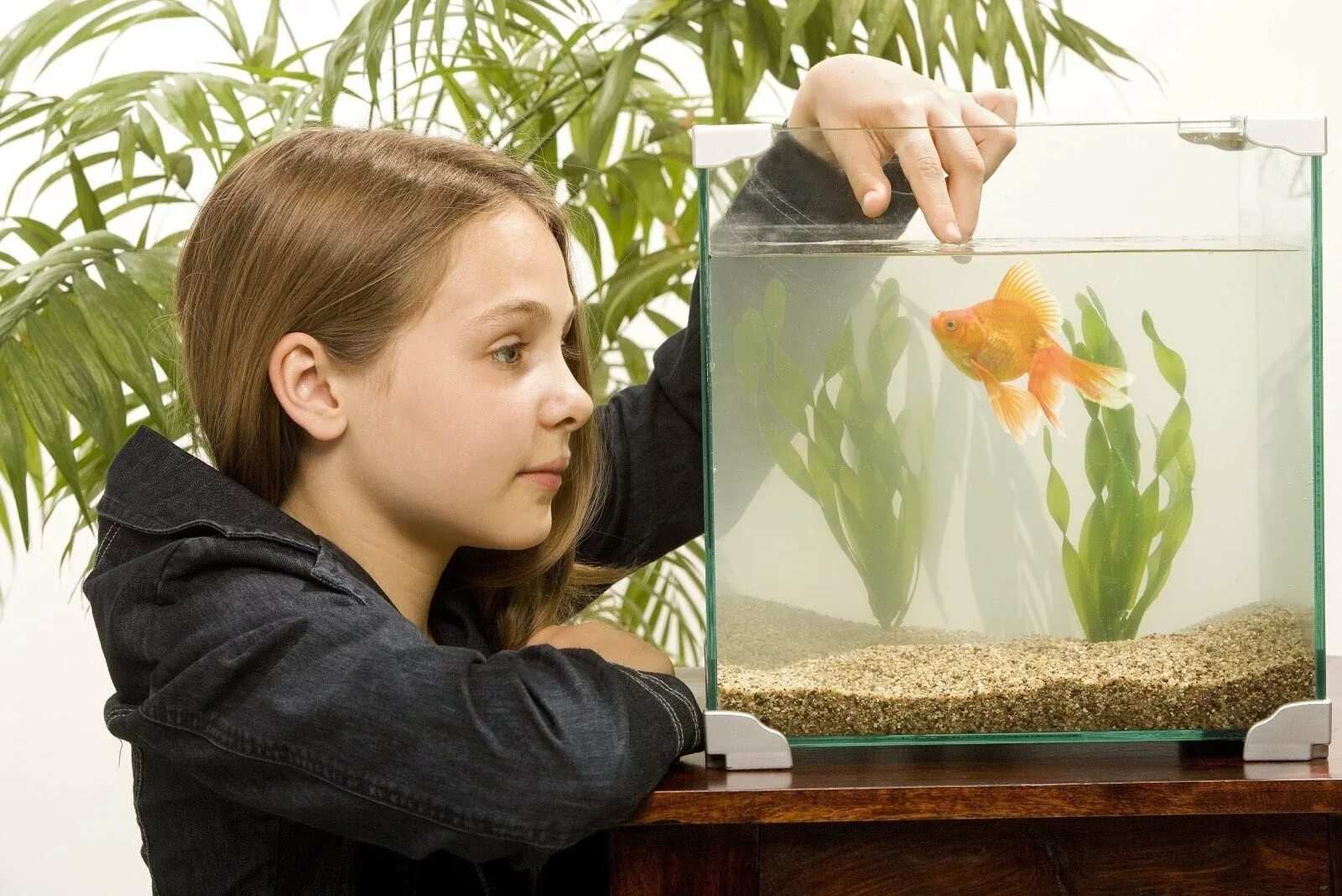 Как ухаживать за аквариумными. Рыбки для аквариума. Человек в аквариуме. Девочка с аквариумом. Аквариум с рыбками для детей.