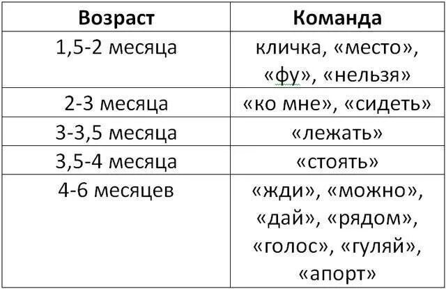 Сколько давать сухого корма шпицу. Рацион питания щенка шпица в 2 месяца. сколько надо кормить 5 месячного щенка шпица. чем можно кормить щенка шпица в 2 месяца. сколько раз кормить 2,5 месячного щенка.