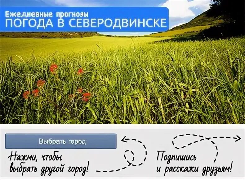 В поле. Осень поле. Погода в Новошахтинске на месяц. Погода в поле по часам