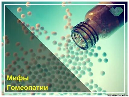 Всемирный день гомеопатии 10