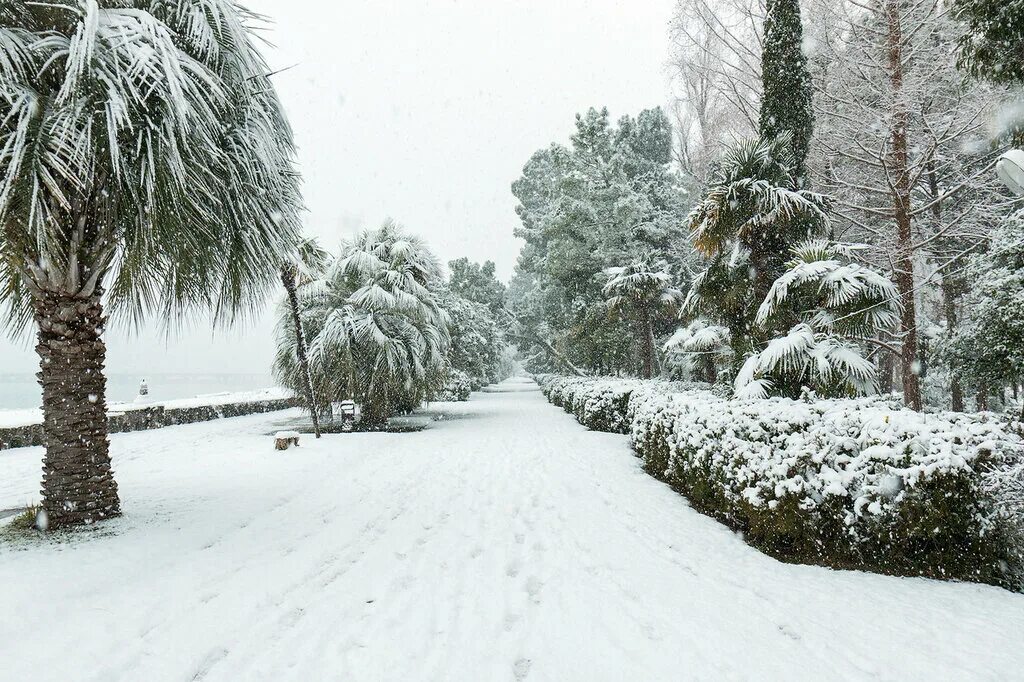 гагра отели зимой. гагра отели зимой. пицунда абхазия зимой. абхазия сухум зима. абхазия рица зима.