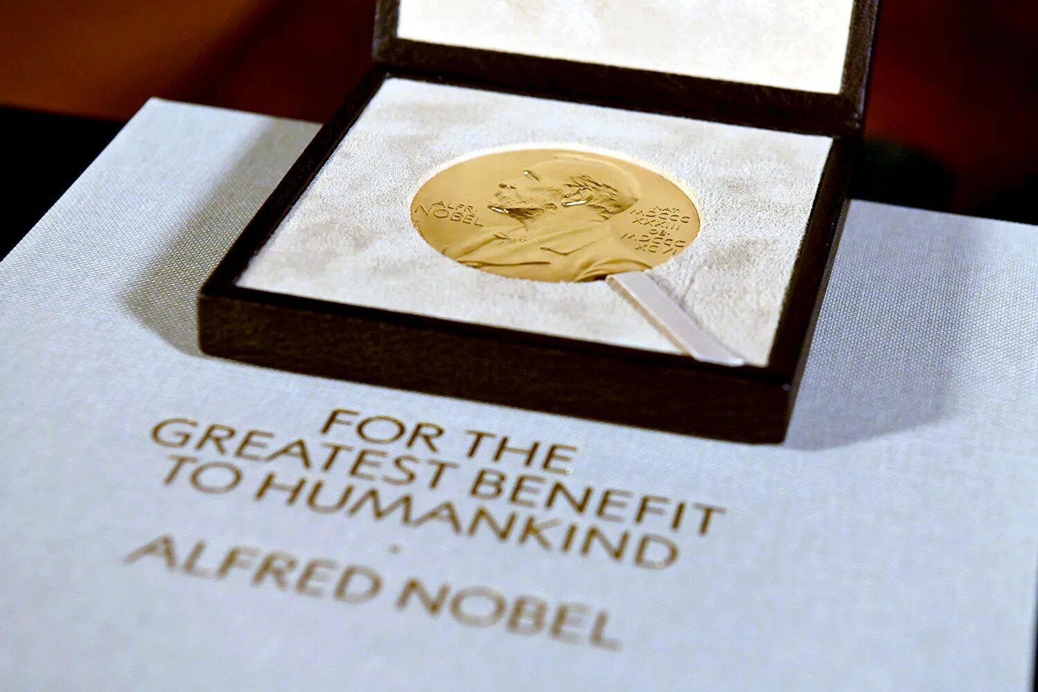 Нобелевская премия 2024. Медаль, вручаемая лауреату Нобелевской премии. Нобель и Нобелевская премия. Медаль Нобелевской премии по химии.