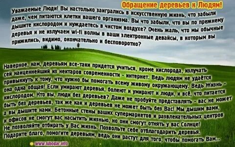 Письмо от имени растений