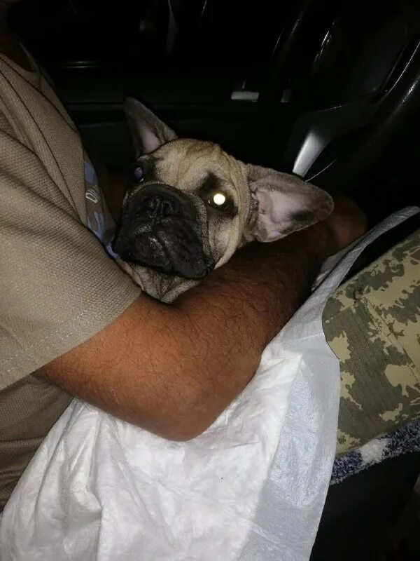 Помощь французским. Помощь французским. Высшее образование во франции. Помощь французским. Скорая во франции.