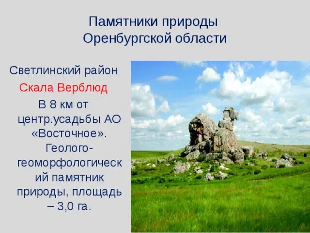 История оренбургской области кратко. Памятники природы культуры Оренбург. Природные памятники культуры Оренбургской области. Исторические памятники культуры Оренбургской области гора верблюд. Объекты природного наследия Оренбургской области.