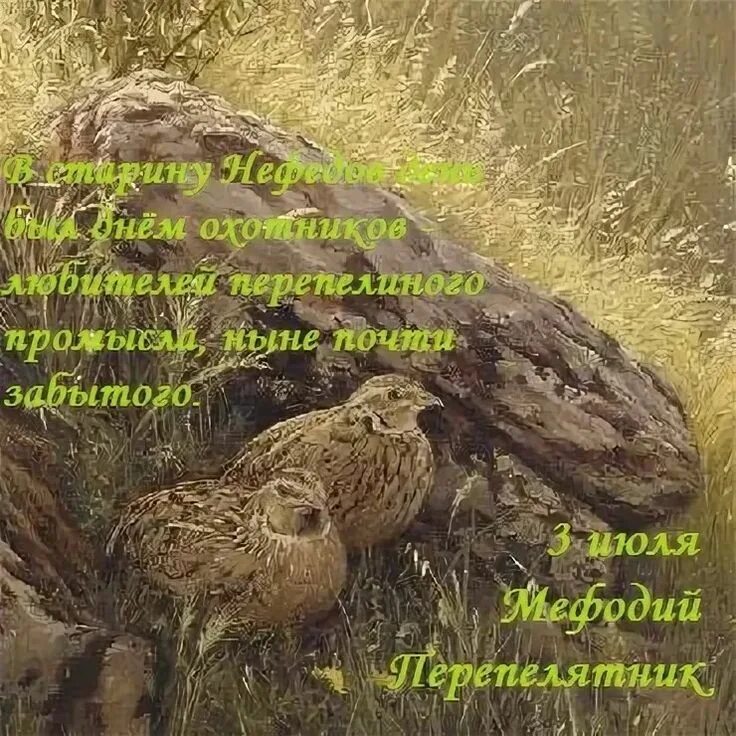 3 июля народный календарь. 3 июля календарь. 3 июля народный календарь. 3 июля народный календарь. 3 июля народный календарь.