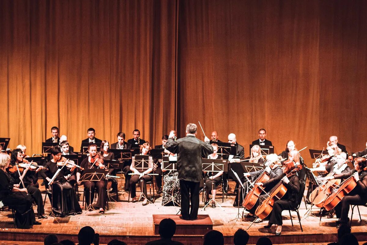 Рязанский губернский симфонический оркестр. Рязанский губернский симфонический оркестр. Лесник в исполнении симфонического оркестра. Оркестр cagmo. 2019 донецкий симфонический оркестр в москве большой зал консерватории.