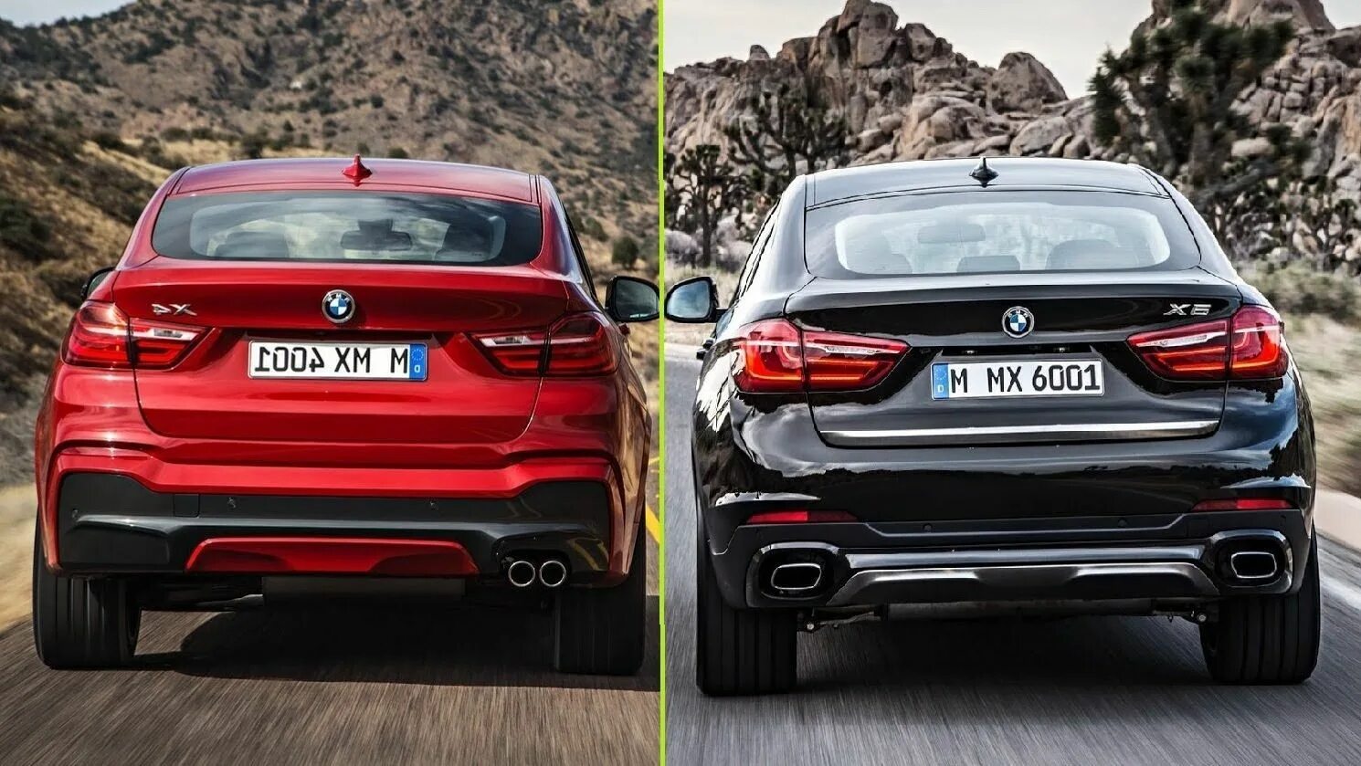 БМВ х6 и x4. BMW x4 vs x6. BMW x4 vs BMW x6. BMW x4 x5 x6. X6 vs x4