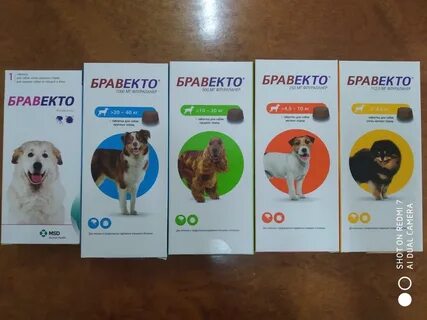 Китайский бравекто для собак отзывы