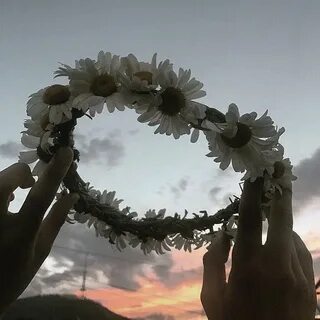 Цветы сама жизнь