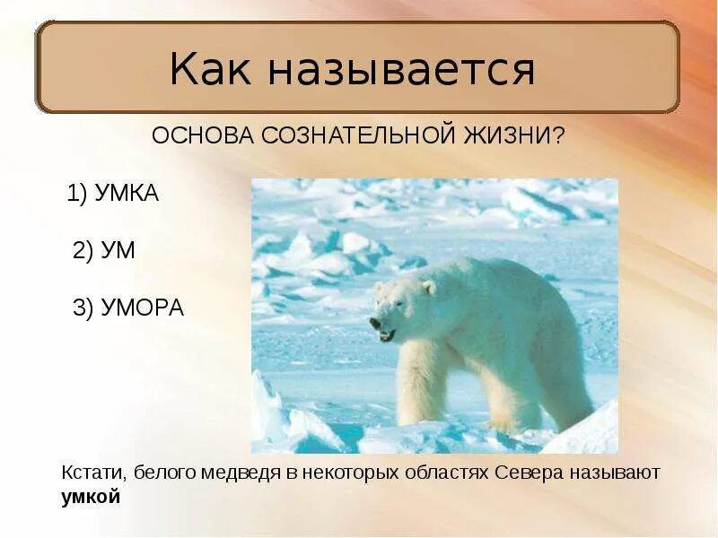 Как называется очень. Как называется. как называется как называется как называется. как называется как. викторина о белом медведе.