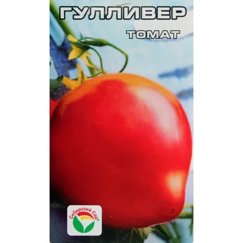 Сорт помидор гулливер. Томат гулливер семена. томат гулливер сибирский сад. помидоры гулливер описание. помидоры гулливер фото.