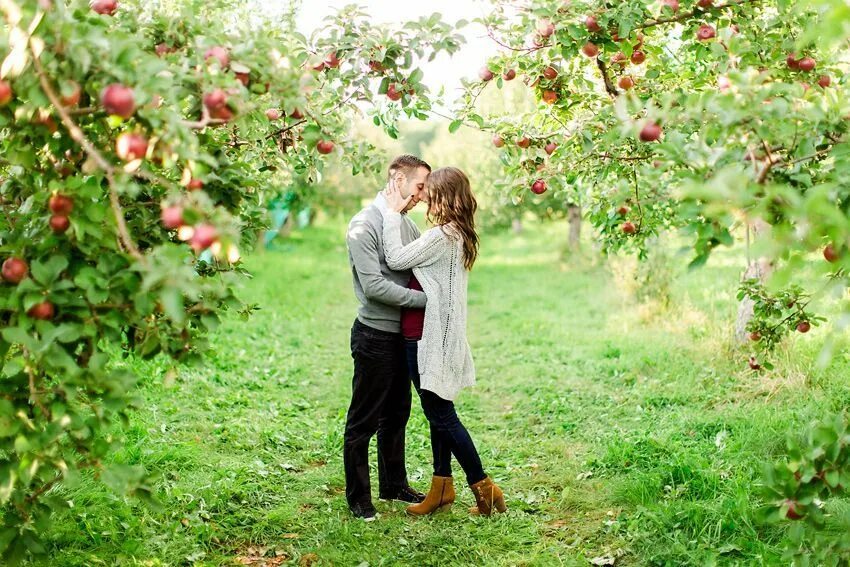 Пара яблонь. Фотосессия с яблоками. Фотосессия в яблочном саду. Фотосессия в яблоневом саду с яблоками. Парень и девушка под яблоней.