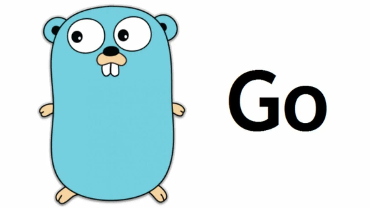 Golang examples. Golang язык программирования. гофер голанг. go golang язык программирования. golang логотип.