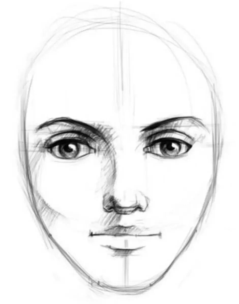 лицо для рисования. человеческое лицо рисунок. лицо рисунок. портрет человека рисунок поэтапно. пошаговое рисование лица человека.