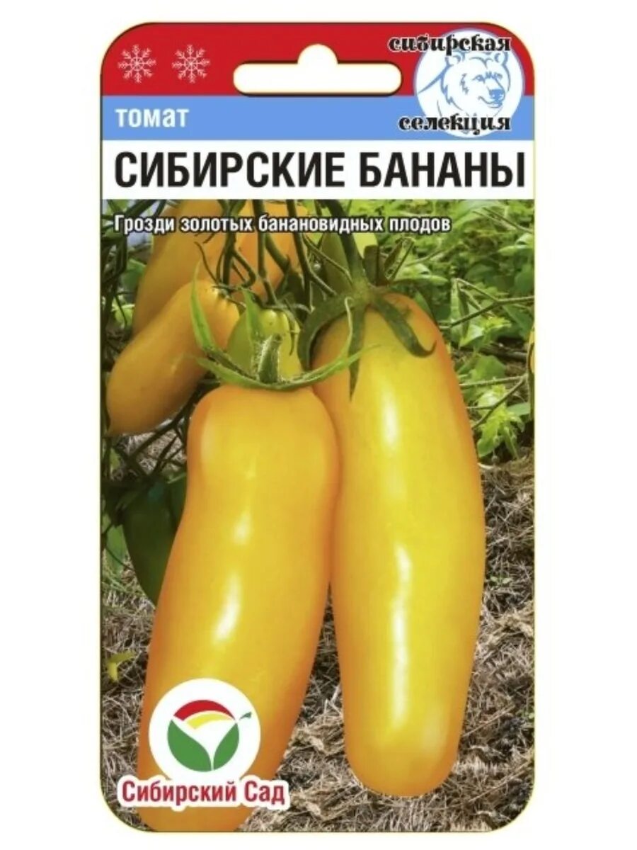 Томат сибирские бананы. Бананы зеленые сибирские. Томат сибирский банан. Томат сибирский банан. Томат сибирский банан.