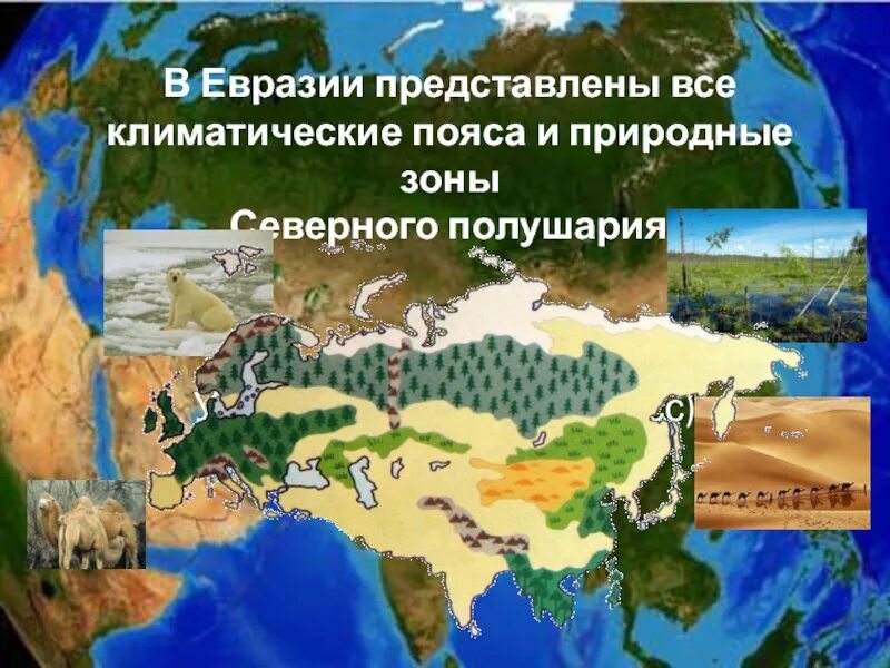 Природно климатические зоны евразии. Природные зоны материка Евразия. Природные зоны евраззи. Карта природных зон Евразии. Природные зоны Северной Евразии.