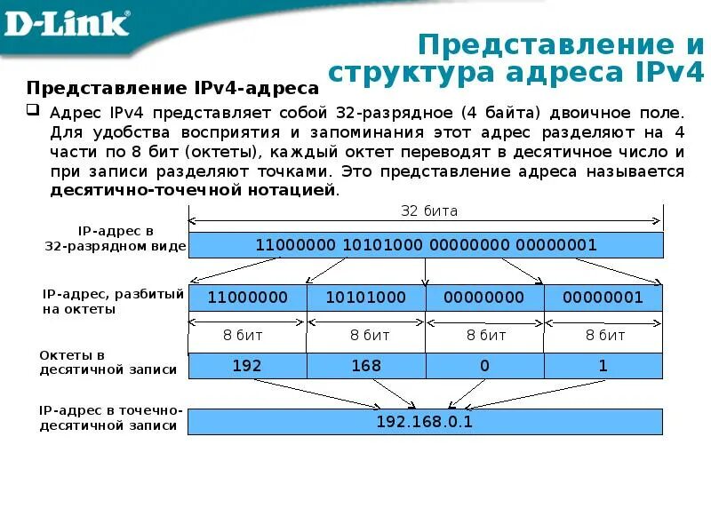 IP адреса версии ipv4 пример. Структура IP адреса протокол IP v4. Структура IP-адресов ipv4. Примеры IP адресов ipv4.