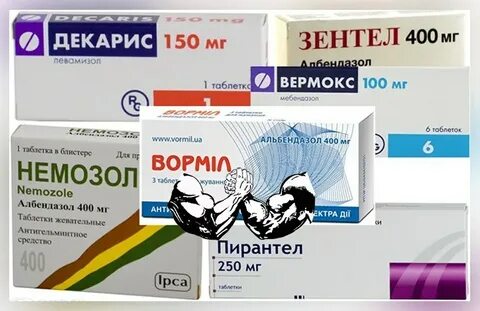 Какой препарат самый эффективный от глистов