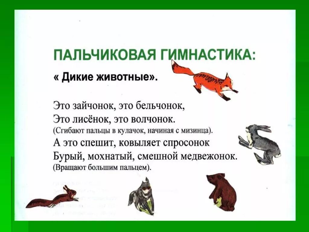 Тематическое планирование в младшей группе дикие животные. Пальчиковая гимнастика дикие звери. пальчиковая гимнастика дикие животные. пальчиковая гимнастика про диких животных. пальчиковая гимнастика дикие жи.