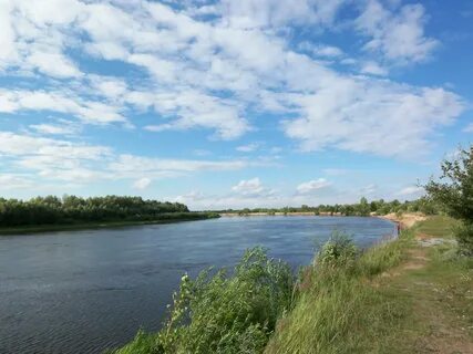 Березино речка