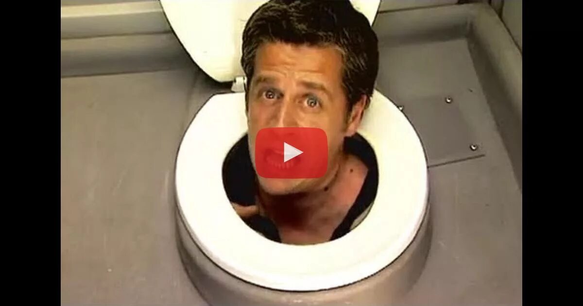 Включи туалет с головами. Веселый унитаз. Включи туалет с головами. Парящий унитаз. Включи туалет с головами.