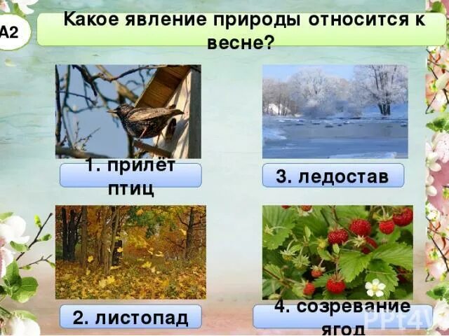 Слова относящиеся к весне