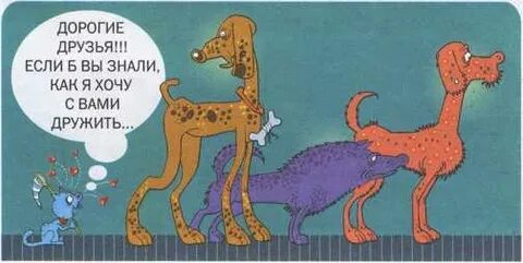 Хотите не надо со мной дружить