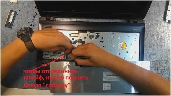 Как разобрать клавиатуру asus Профиль nbookparts з/ч для ноутбуков