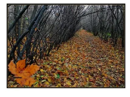 Холодная осень слушать
