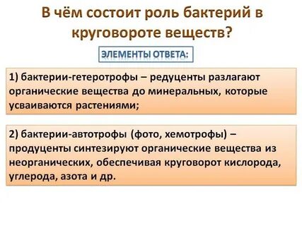 Бактерии и биогенные вещества играют роль