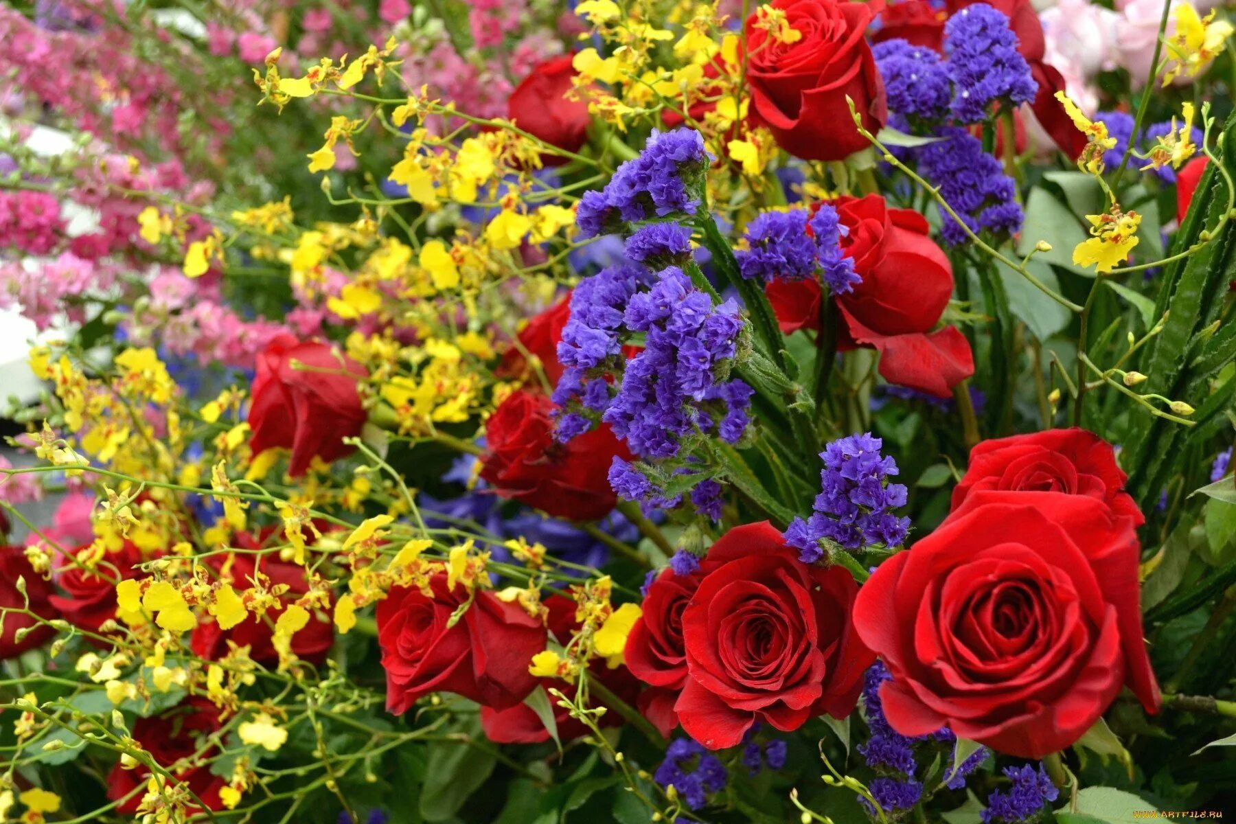 Разные цветы точно по времени. Яркие цветы. Разные цветы. Красивые цветы. Красивые яркие цветы.