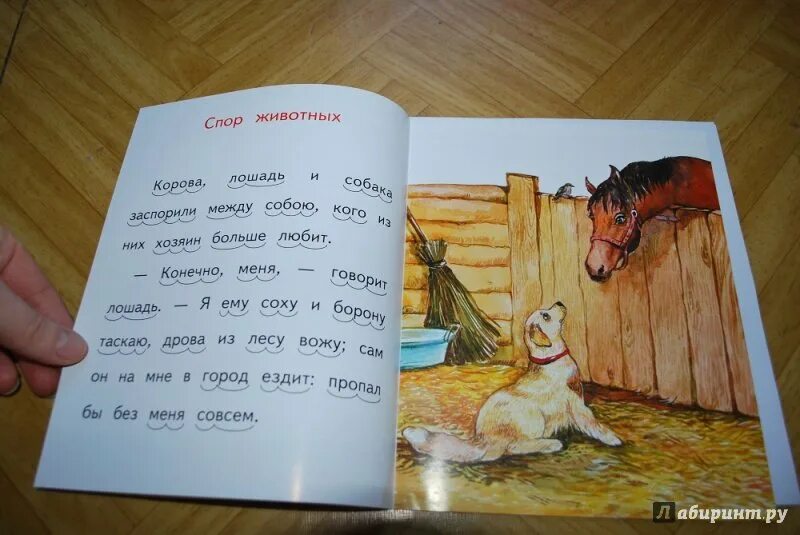 Спор животных. Спор деревьев ушинский. рассказ спор деревьев. сказка ушинского спор деревьев. рассказ спор деревьев ушинский.