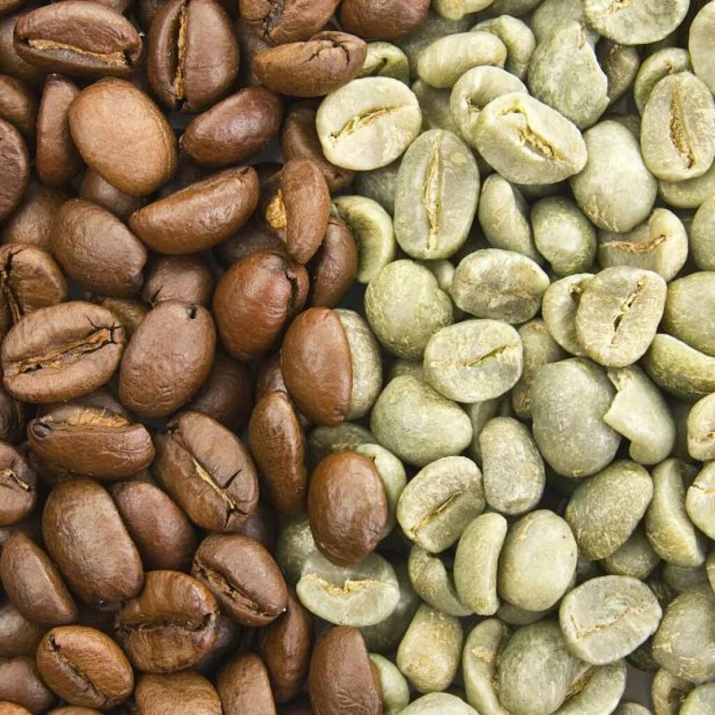 День зеленого кофе. Кофе в зернах. Кофейные зерна необжаренные. Зеленый кофе. Сырые кофейные зерна.