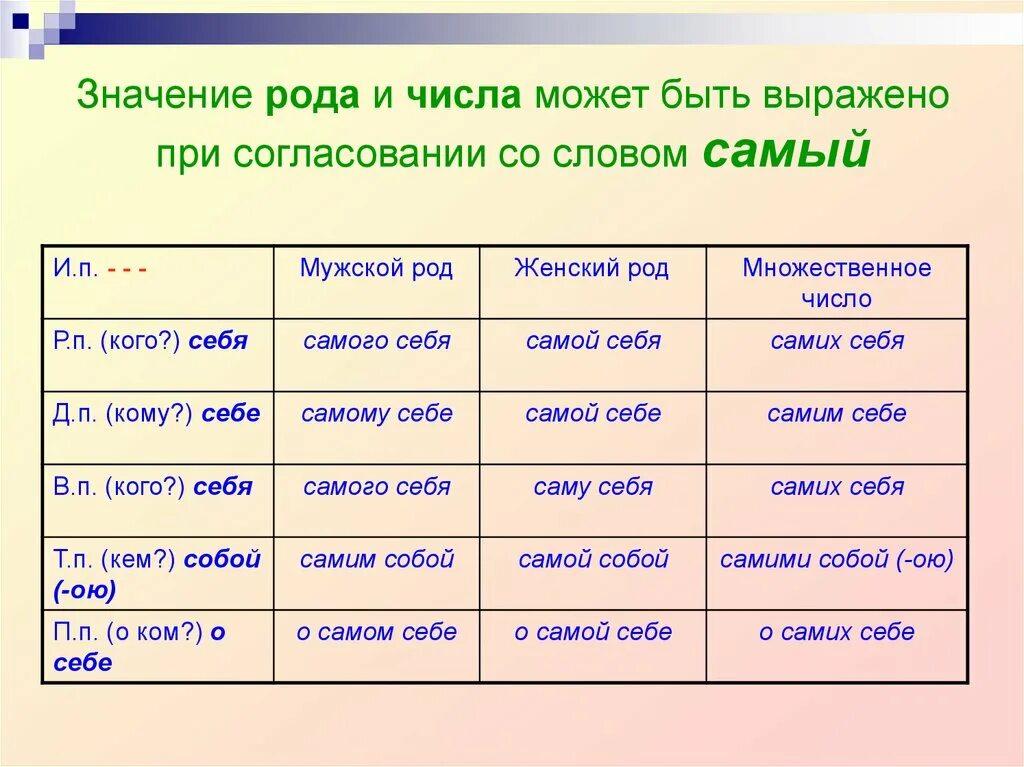 Школа мужской род. Значение рода. Что означает род. Смысл слова род. Себя число и род местоимения.